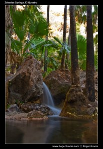 Zebedee Springs