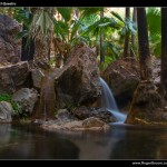 Zebedee Springs Pool