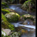 Mossy Rrocks at Merritts Creek, Thredbo