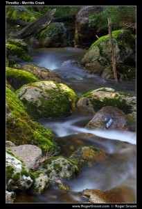 Mossy Rrocks at Merritts Creek, Thredbo