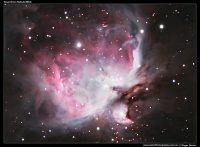 A photograph of the Great Orion Nebula (M42)